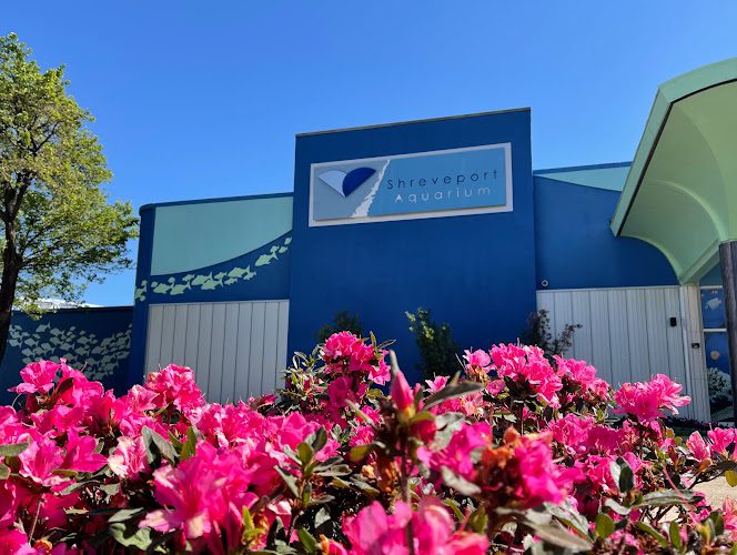 Shreveport Aquarium