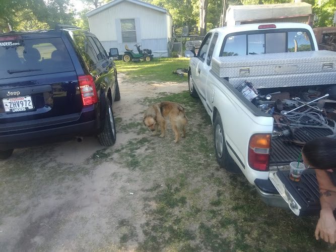 Edwin Tuttle Currie Park Mooringsport