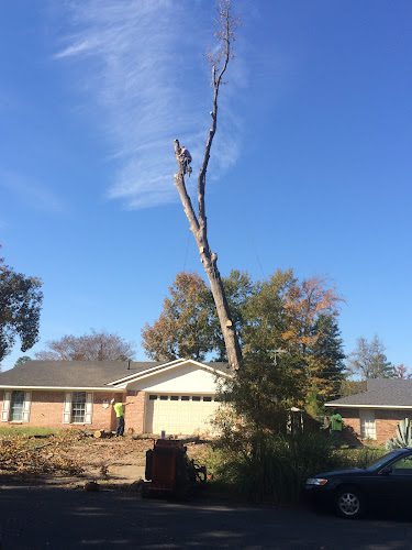 Arbor Management Services LLC