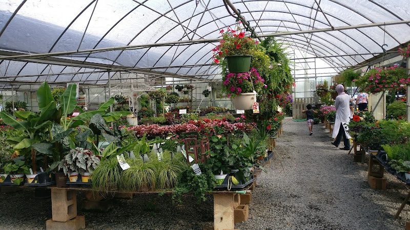 Lex Plant Farm & Garden Center