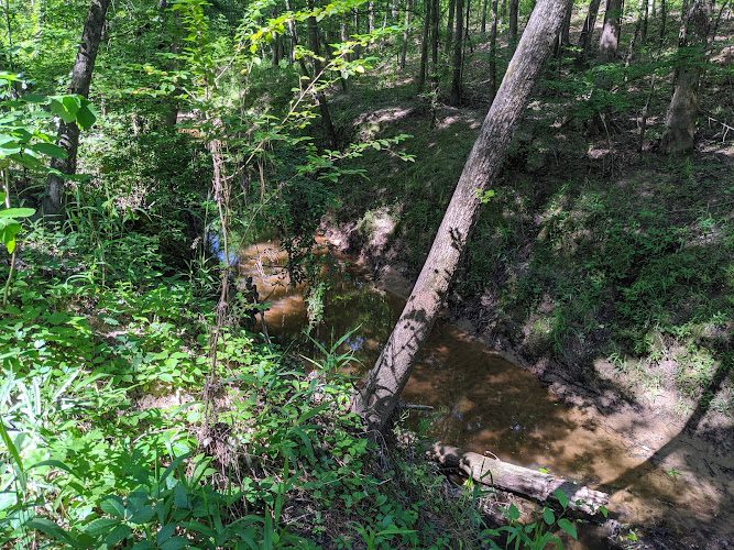 Magazine Trail -Hike and Bike