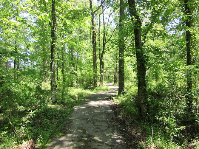 John Haygood Nature Trail