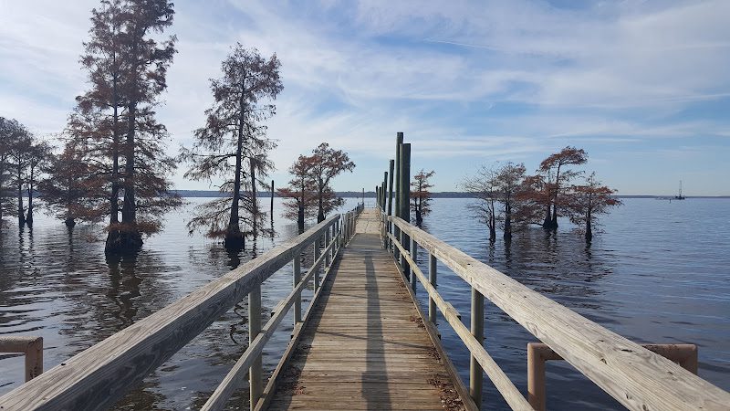 Earl G Williamson Park