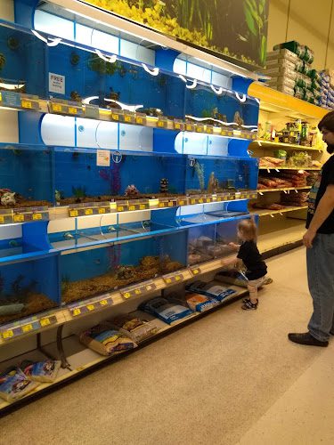 PetSmart