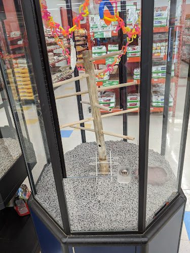 Petco