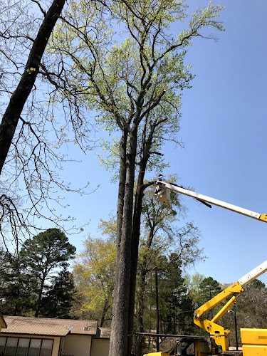 Nico’s Lawn Care &Tree Service LLC