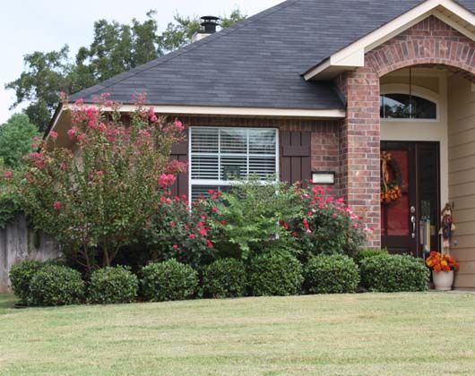 Total Yard Care Inc.