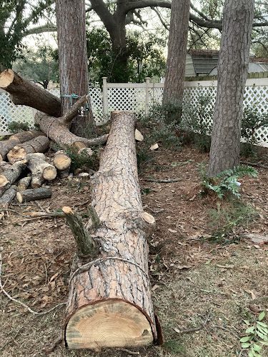 2 Pines Tree Service