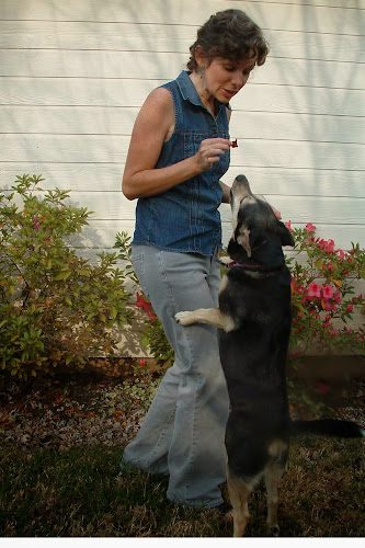 Lil’ Rascals Pet Care & Portraits