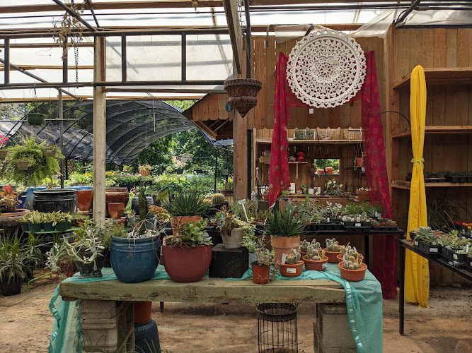 Akin’s Nursery Inc