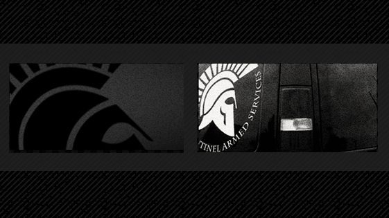 Sentinel Security Group, Inc.