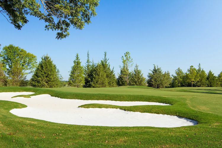 David Toms Academy 265
