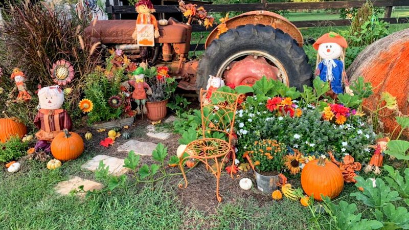 Jubilee Zoo – Petting Zoo & Play Place