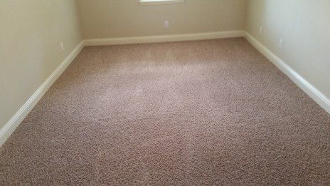 Steve’s Carpet Care