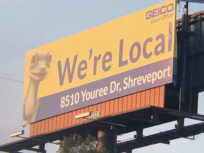 GEICO Insurance Agent