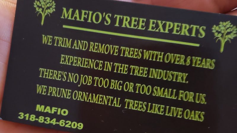 Mafio’s tree experts, LLC