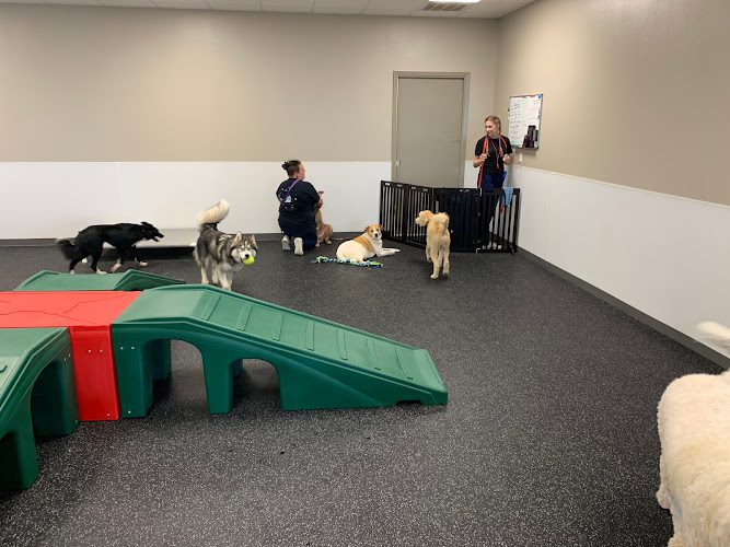Three Happy Tails – Luxury Dog Day Care Boarding & Grooming