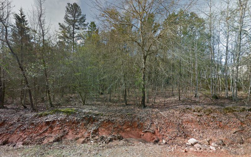 Action Fire & Safety Co